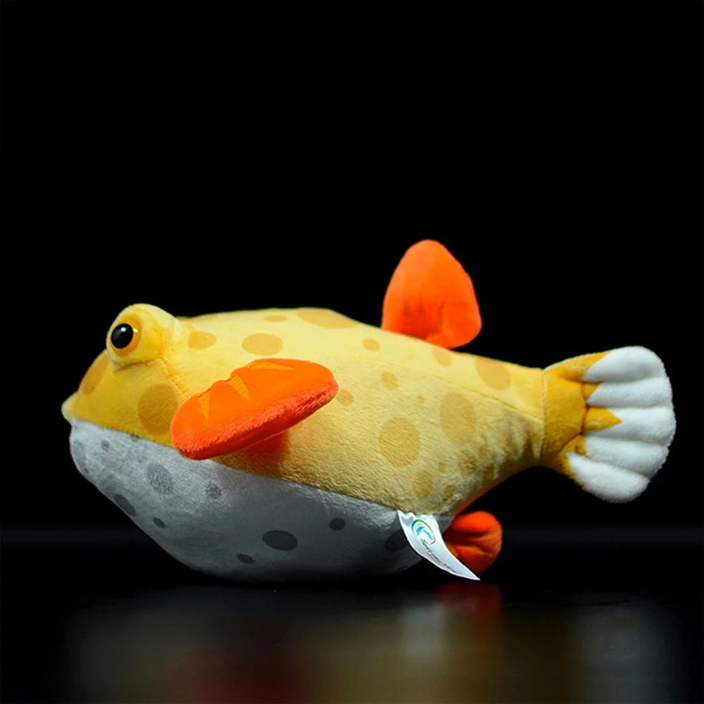 Boxfish Plush 4 Boxfish Plush - Image 2