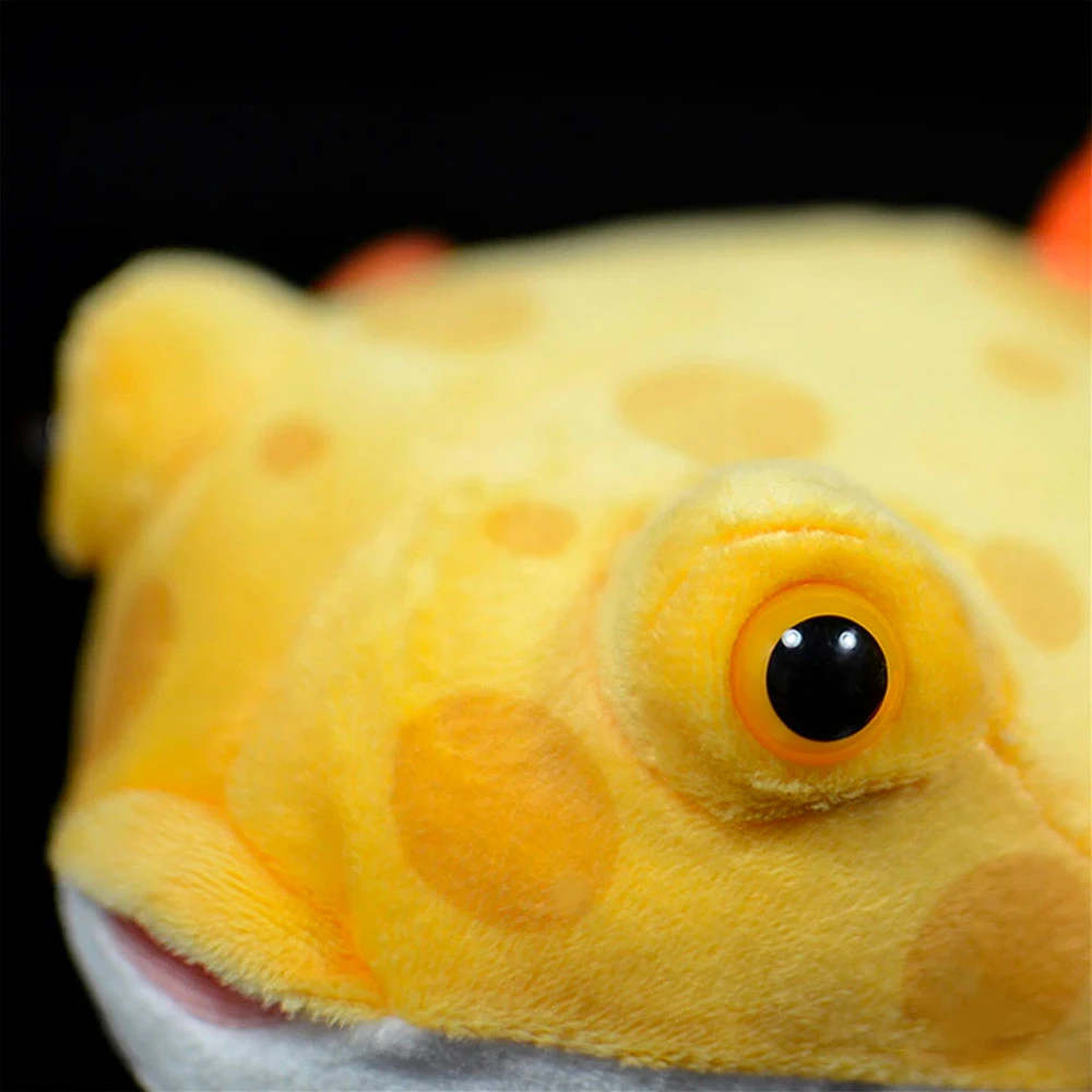 Boxfish Plush 7 Boxfish Plush - Image 5