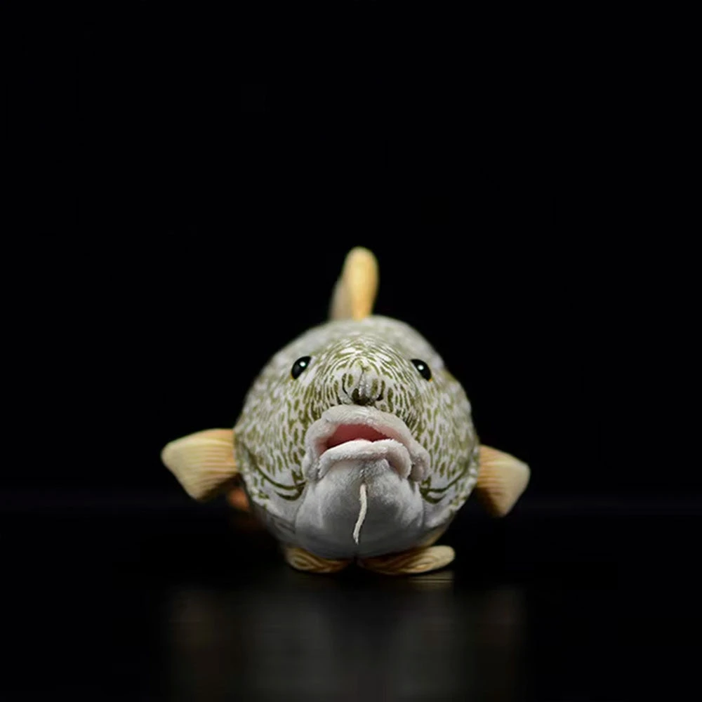 Codfish Plush 4 Codfish Plush - Image 2