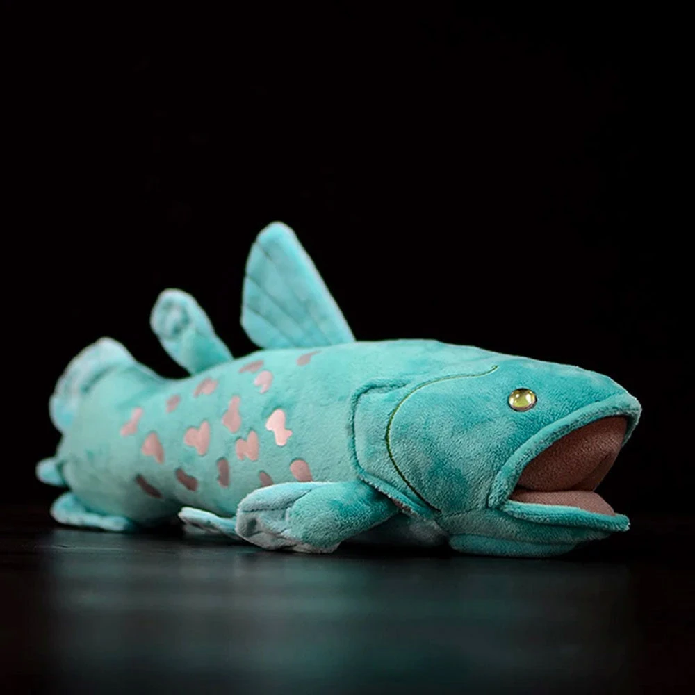 Coelacanth Plush 3 Coelacanth Plush