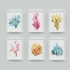 Watercolor Coral Canvas Prints 2 Watercolor Coral Canvas Prints -Citrusreef Store coral canvas digital watercolour prints 1
