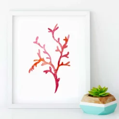 Watercolor Coral Canvas Prints -Citrusreef Store coral canvas digital watercolour prints 6
