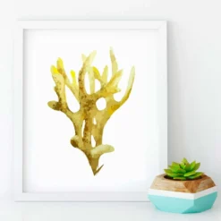 Watercolor Coral Canvas Prints -Citrusreef Store coral canvas digital watercolour prints 7