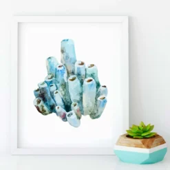 Watercolor Coral Canvas Prints -Citrusreef Store coral canvas digital watercolour prints 8