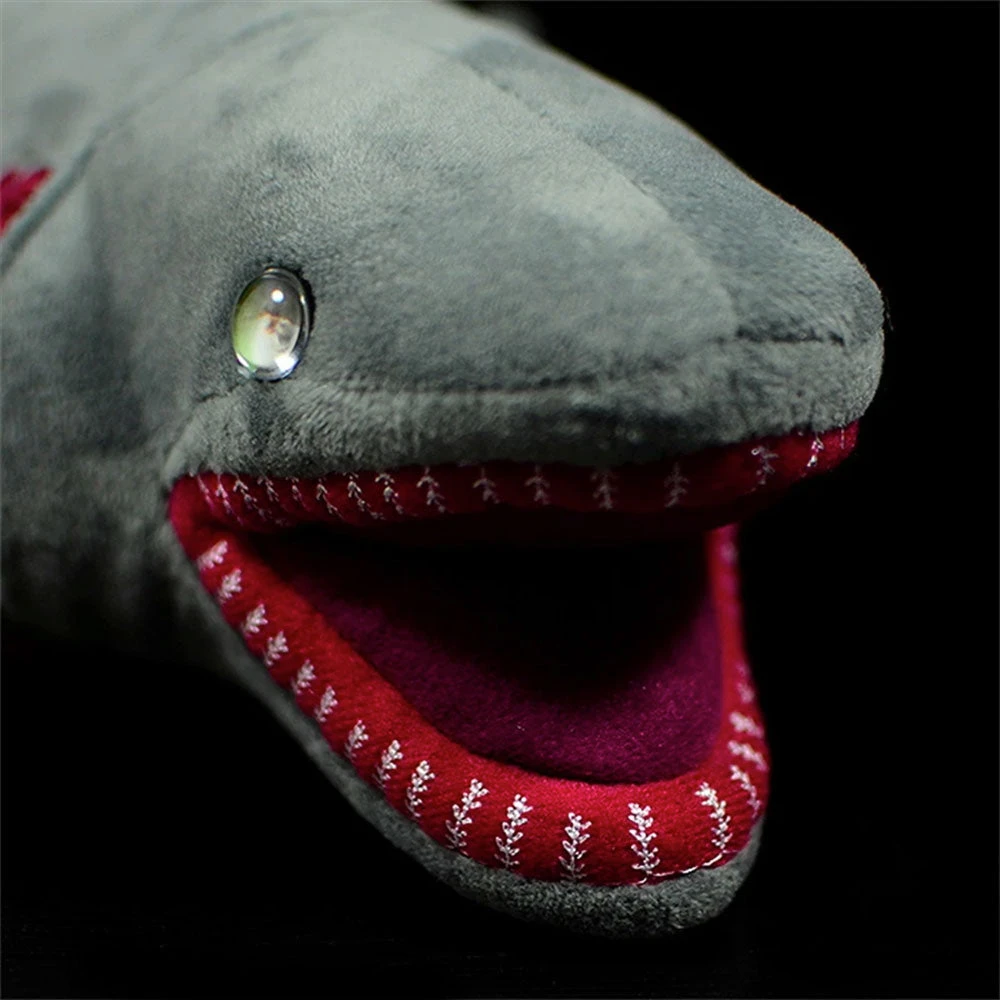 Frilled Shark Plush 7 Frilled Shark Plush - Image 5