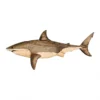 Rustic Wood Shark Wall Hanging -Citrusreef Store great white shark wall hanging