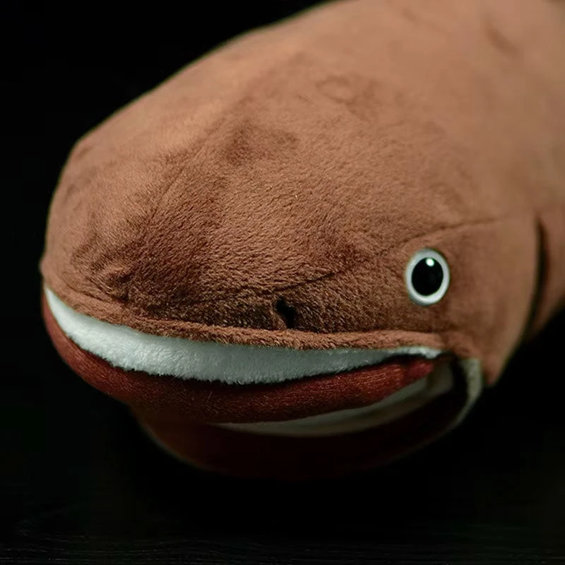 Megamouth Shark Plush 7 Megamouth Shark Plush - Image 5