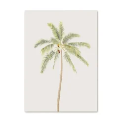 Sailboat Canvas Prints -Citrusreef Store nautical sailing canvas print 10