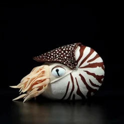 Nautilus Plush -Citrusreef Store nautilus plush