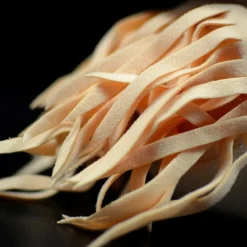 Nautilus Plush -Citrusreef Store nautilus plush 7