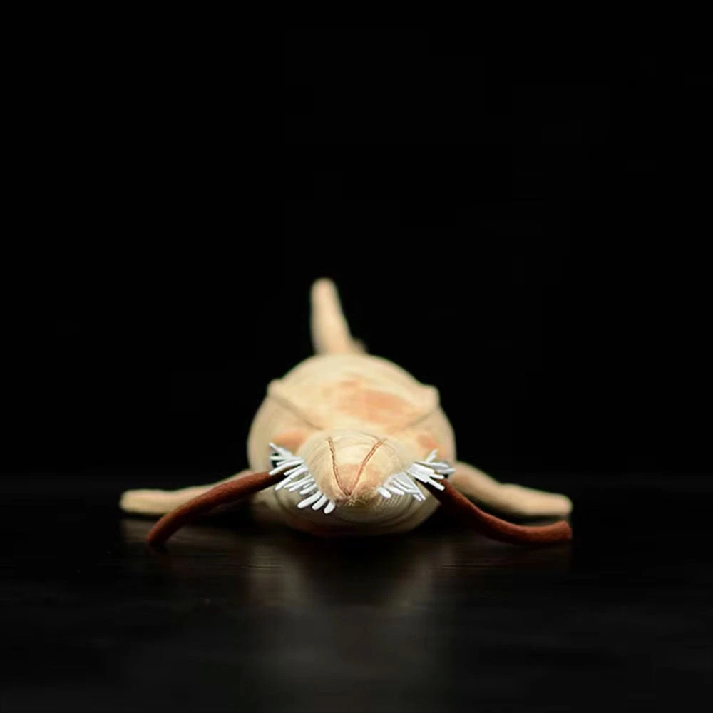 Sawshark Plush 4 Sawshark Plush - Image 2