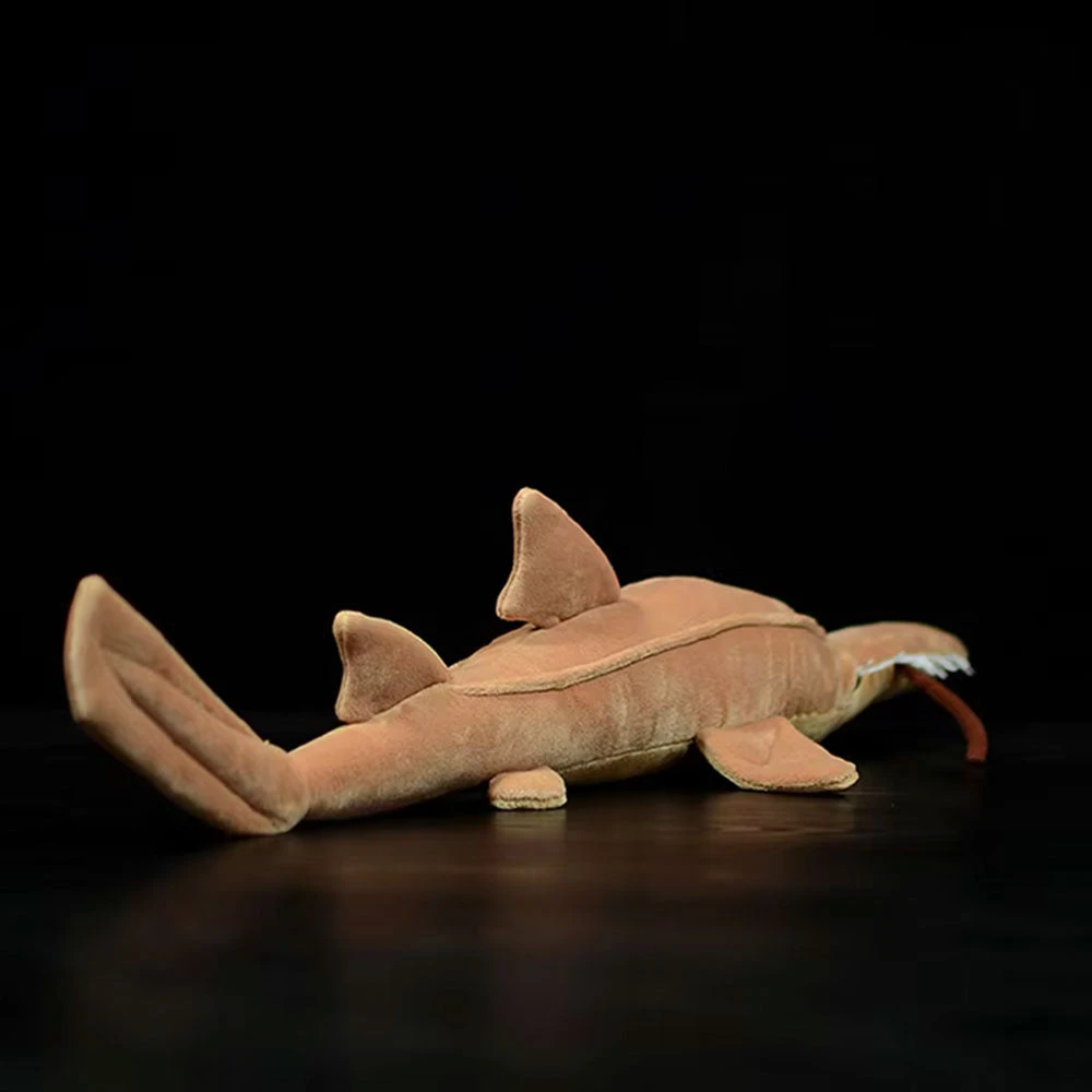 Sawshark Plush 6 Sawshark Plush - Image 4