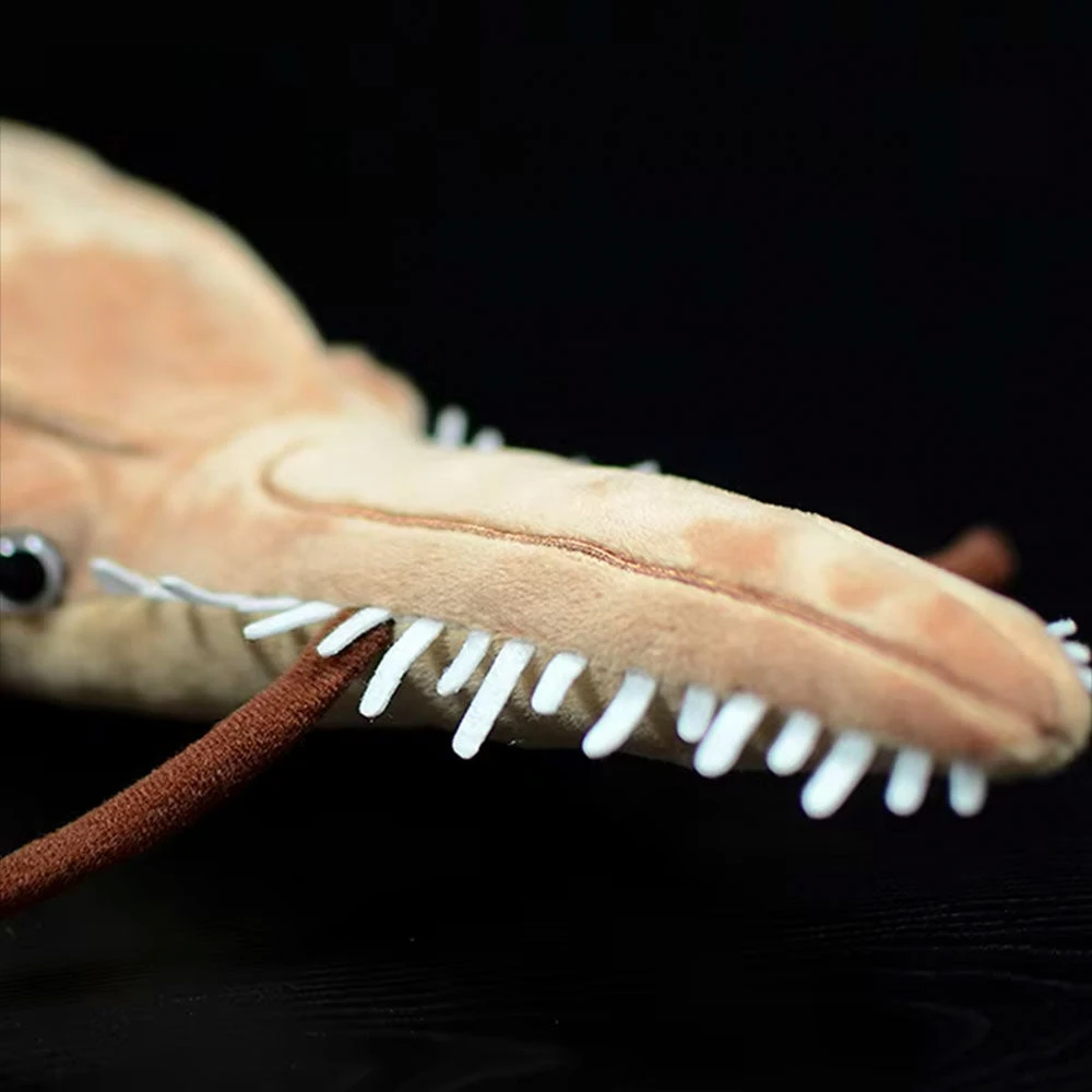 Sawshark Plush 7 Sawshark Plush - Image 5
