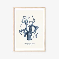 Vintage Sea Life Prints -Citrusreef Store sea life print 2