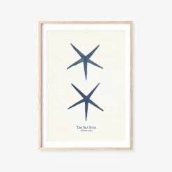 Vintage Sea Life Prints -Citrusreef Store sea life print 3