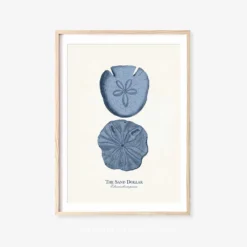 Vintage Sea Life Prints -Citrusreef Store sea life print 9