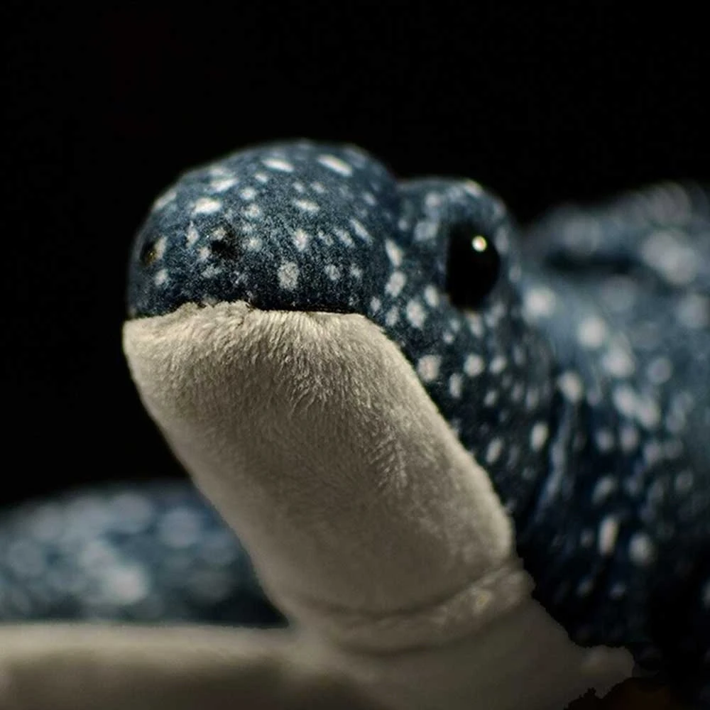 Leatherback Sea Turtle Plush 9 Leatherback Sea Turtle Plush - Image 7