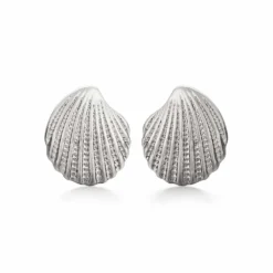 Silver Clam Shell Earrings