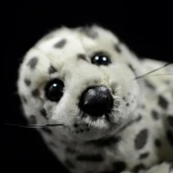Spotted Seal Pup Plush -Citrusreef Store spotted seal plush 3