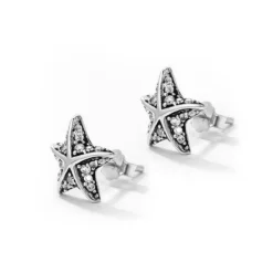 Silver Starfish Earrings -Citrusreef Store starfish earrings silver 3